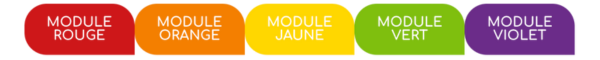 Cursus de formation professionnelle